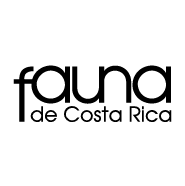 Fauna de Costa Rica